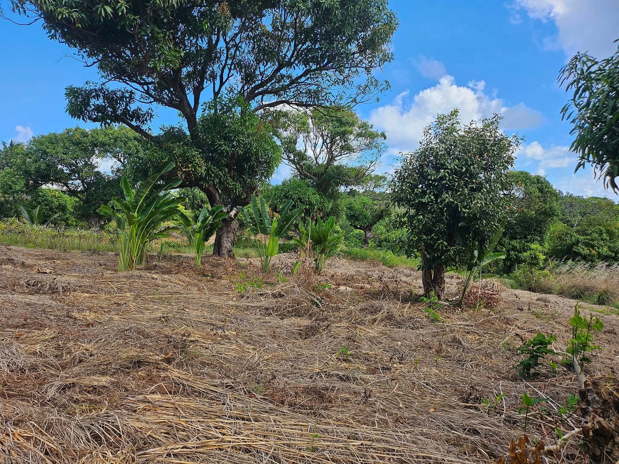 Terrain Constructible — Sainte-Marie