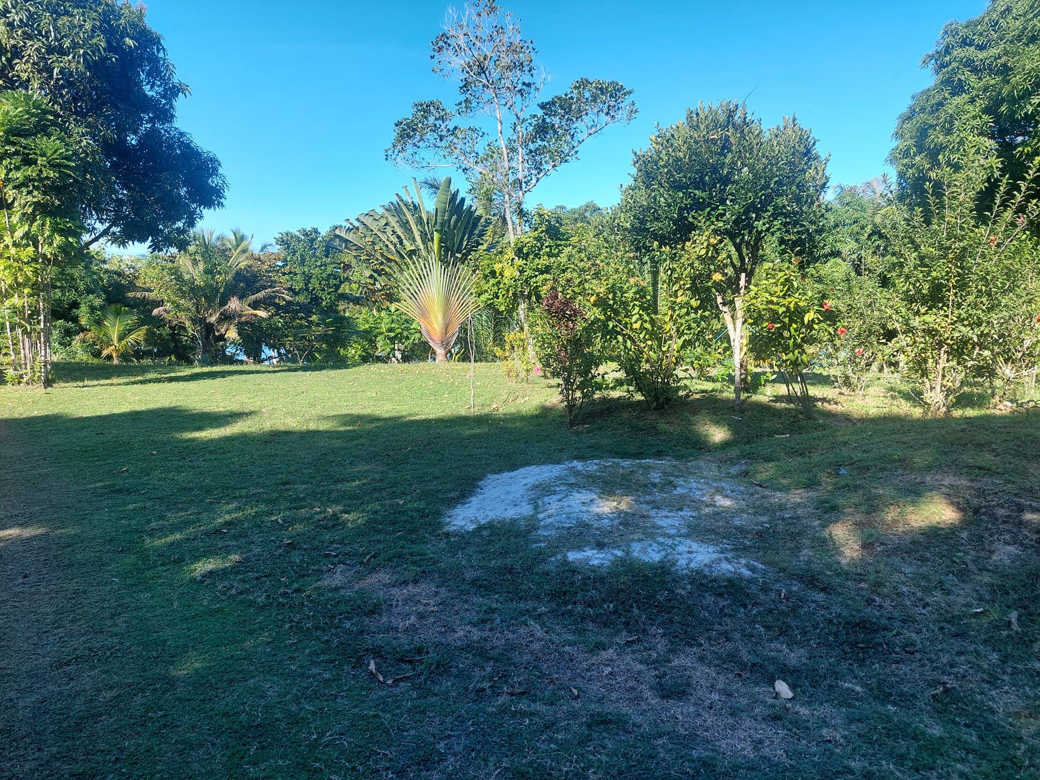Terrain Pieds dans l'Eau — La Piscine